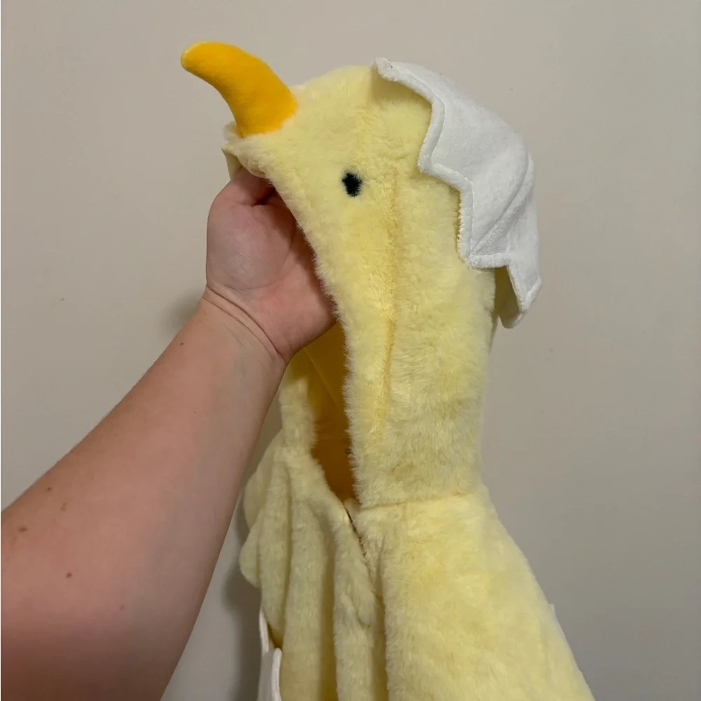 Pottery Barn Kids Baby Chick Costume - Picture 4 of 4